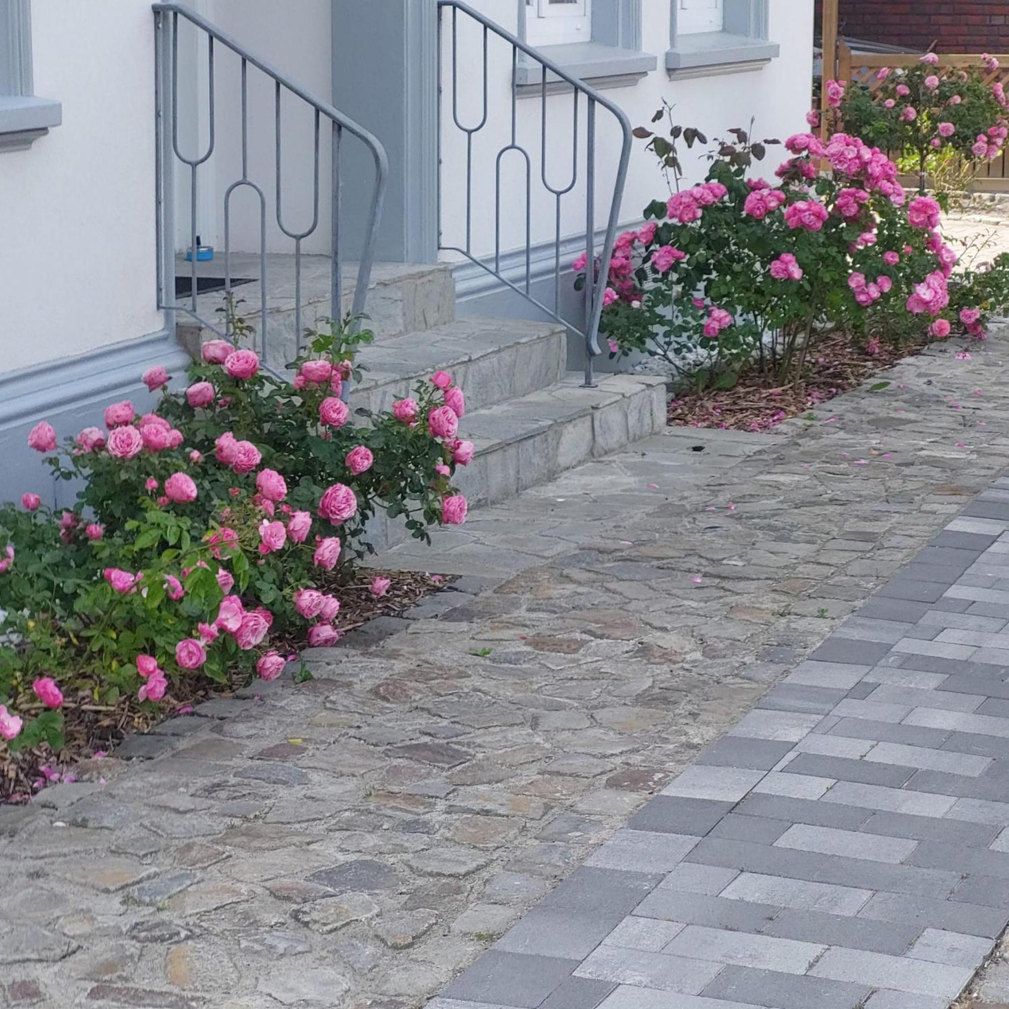 Privatunterkunft Im Erdgeschoss Nordenham Esterno foto